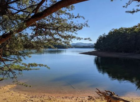 Morganton Point Campground