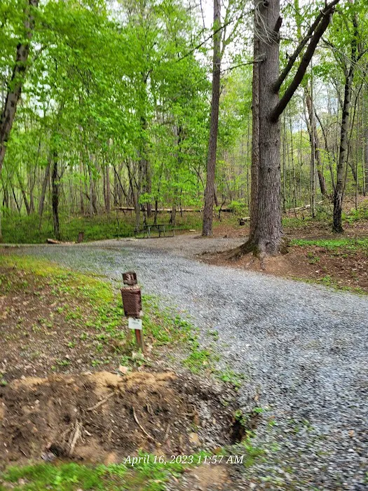 Morganton Point Campground Picture 3