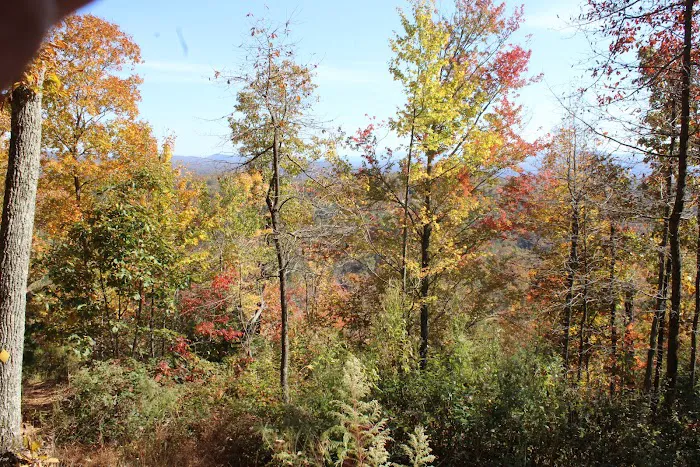 Morganton Point Campground Picture 6