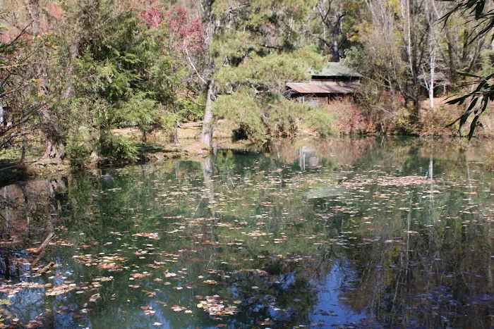 Morganton Point Campground Picture 9