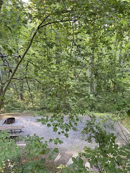 Campsite #35 Picture 2