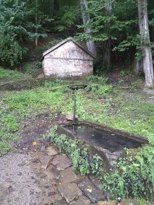 Rock Island Tent Camping Sites Picture 8
