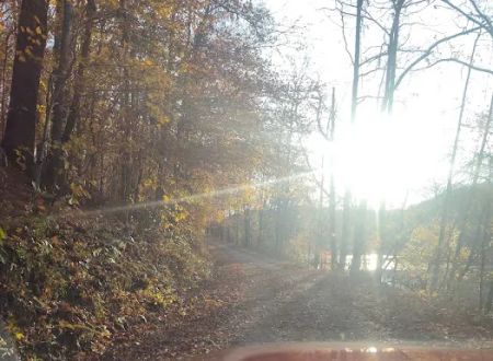 White County Access -Site 20