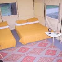 Horseshoe Bend Marina & Campgrounds ico