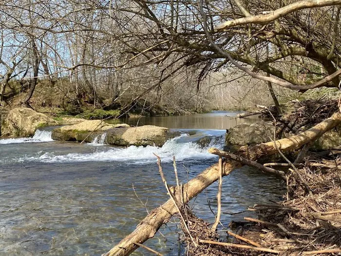 Charles Creek Campground Picture 2