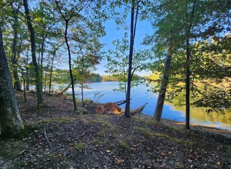 Harrison Bay State Park Campground Loop B