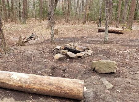 Collins West Campground