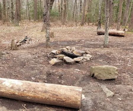 Collins West Campground