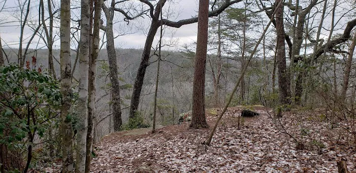 Collins West Campground Picture 3