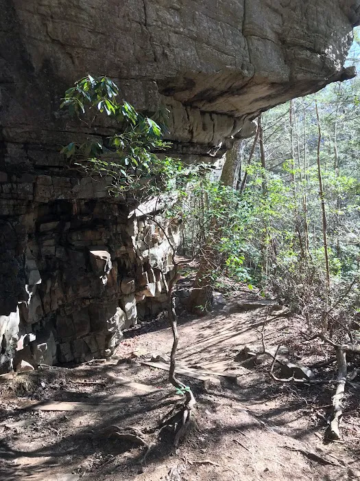 Greeter Falls Campground Picture 7