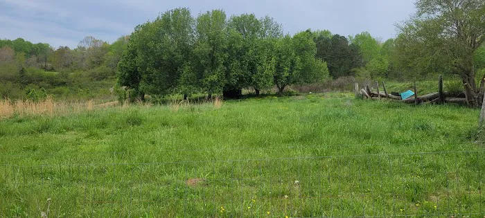 Irie Vibes Campground Picture 1
