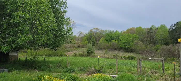 Irie Vibes Campground Picture 5