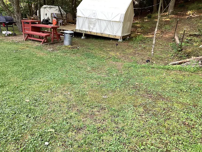 Winedrops Creekside Camping Picture 6