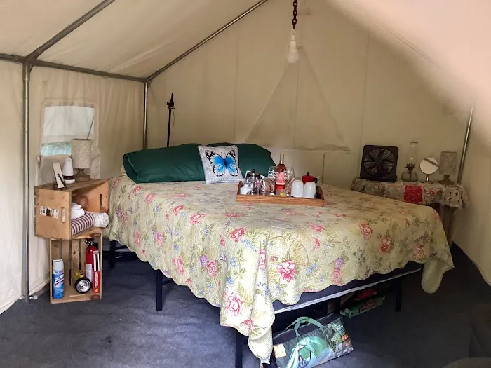 Winedrops Creekside Camping Picture 9