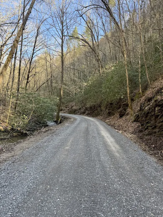 Lost Creek Campground Picture 7