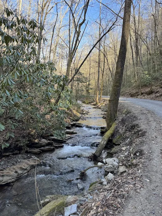 Lost Creek Campground Picture 10