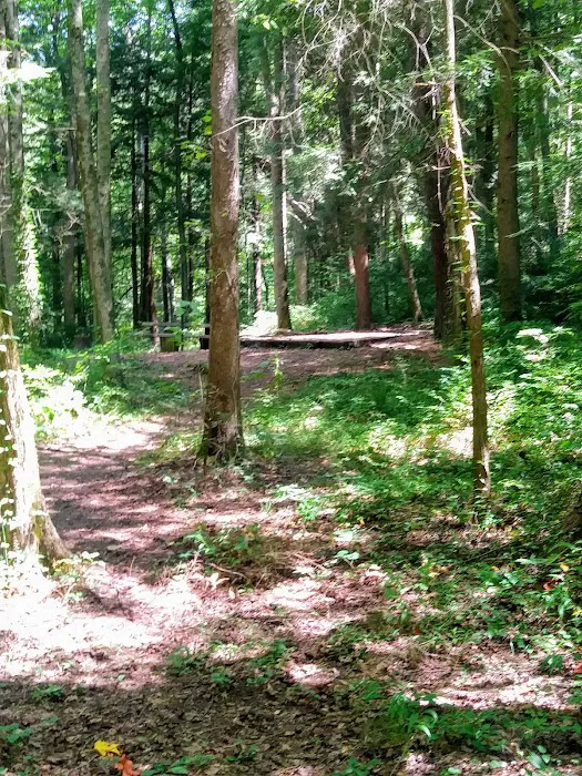 Lost Creek Recreation Area Picture 7