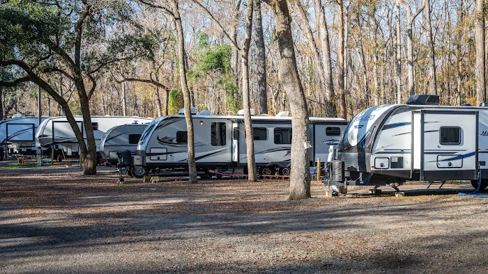 Spacious Skies Campgrounds - Savannah Oaks Picture 2
