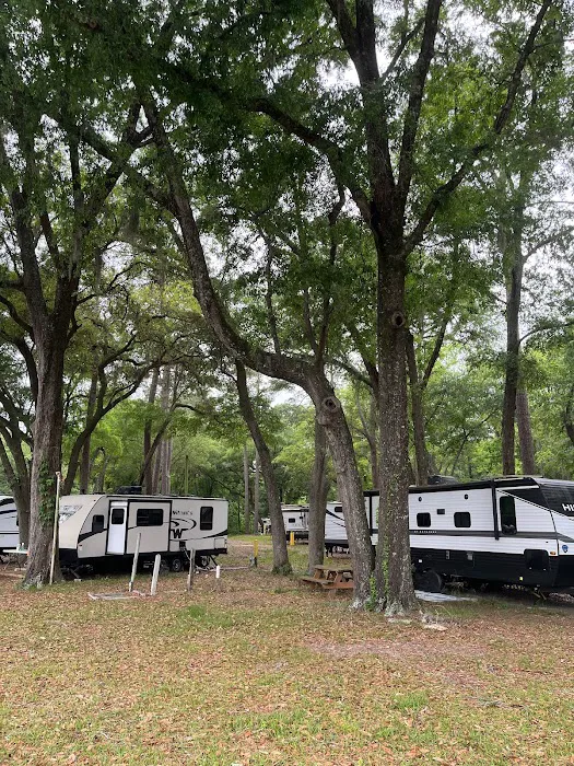 Spacious Skies Campgrounds - Savannah Oaks Picture 4
