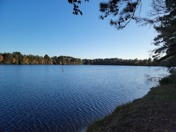 Griffin Lakes Campground Picture 8