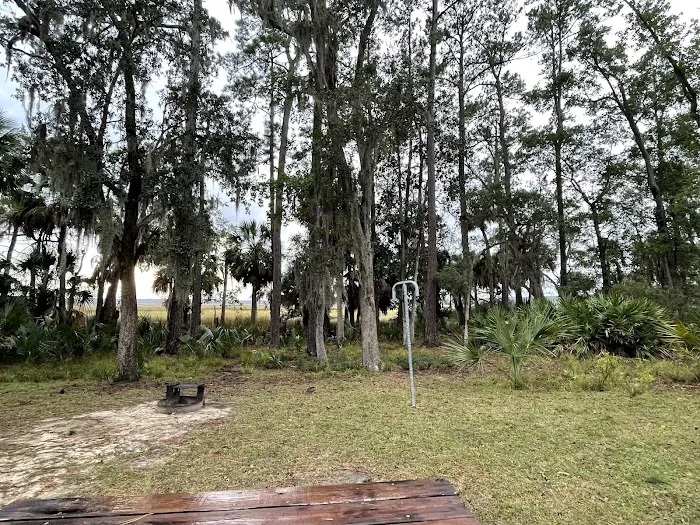 Fort McAllister Campground Picture 1