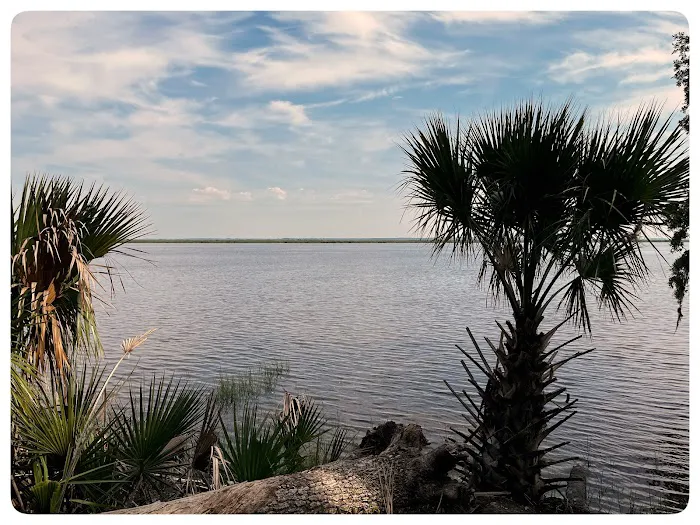 Fort McAllister Campground Picture 4