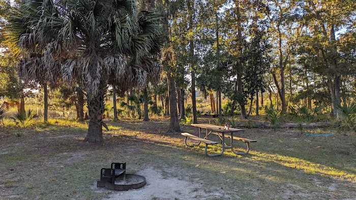 Fort McAllister Campground Picture 5
