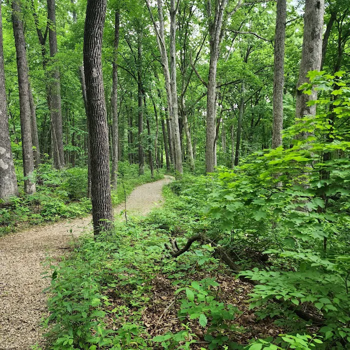 Fox Ridge State Park Campground Picture 2
