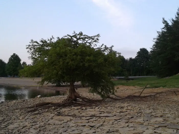 North Fork Campground Picture 2