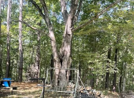 God’s Little Acre Campground