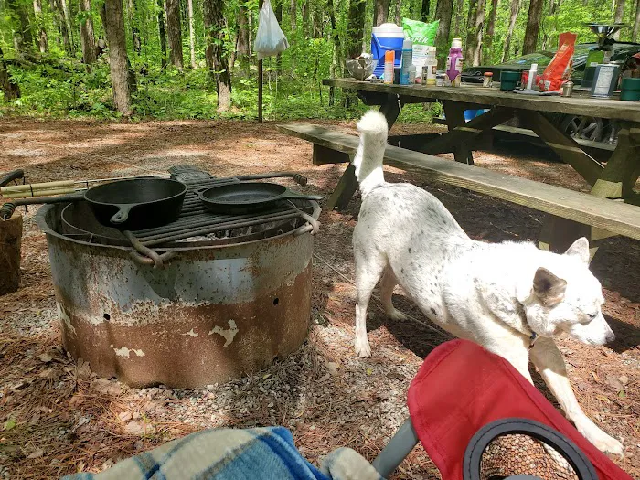 Pine Ridge Campground Picture 8