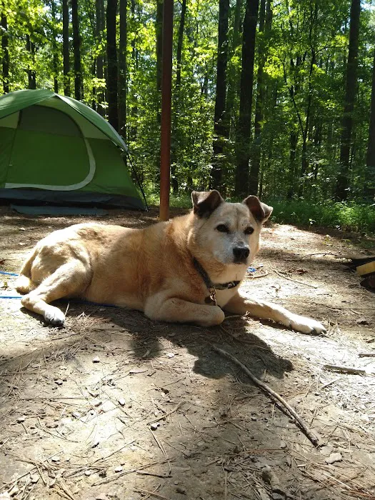 Pine Ridge Campground Picture 9