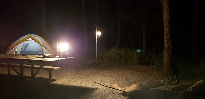 Pharaoh Campground Picture 2