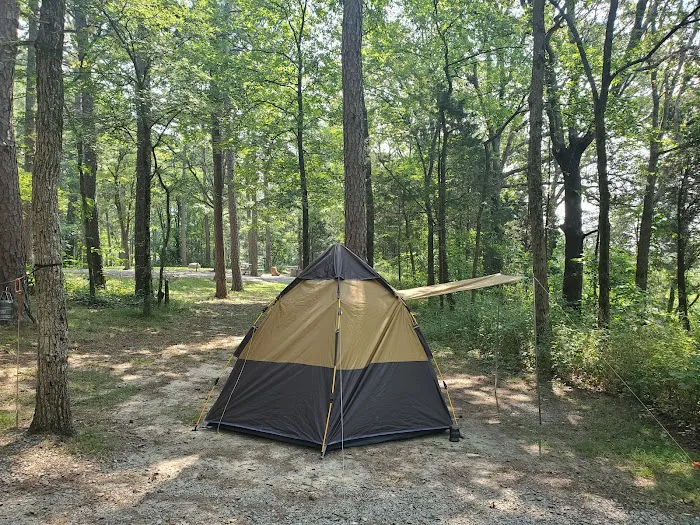 Pharaoh Campground Picture 4