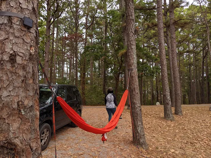 Pharaoh Campground Picture 6