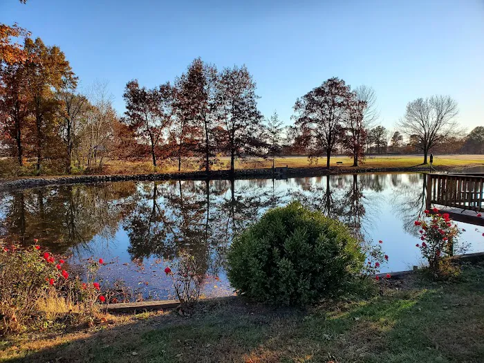 Springcreek Campground Picture 4