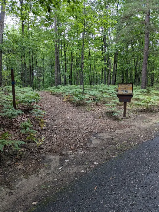 UAW Black Lake Campground Picture 8