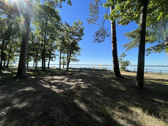 Black Lake State Forest Campground Picture 2