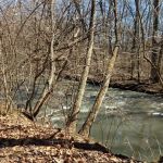 Indian Creek Ranch Camping