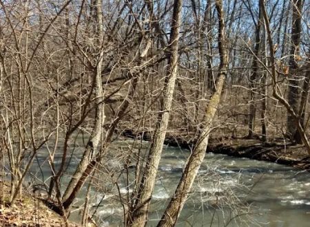 Indian Creek Ranch Camping