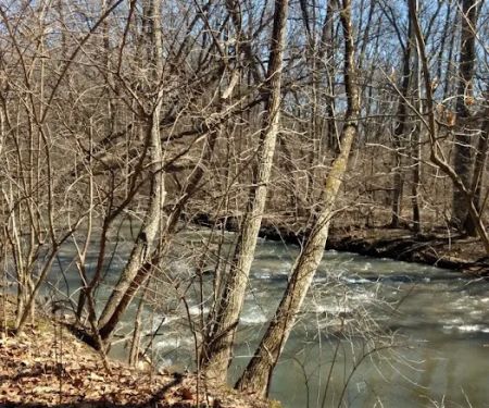 Indian Creek Ranch Camping