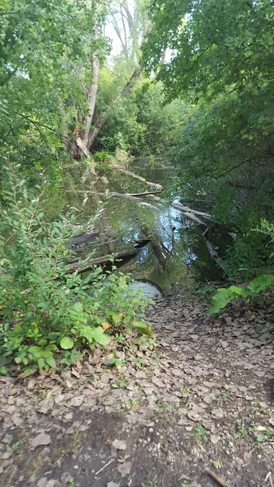 Pratts Wayne Woods Youth Group Campsite Picture 9