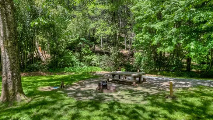 Toccoa Valley Campground Picture 7