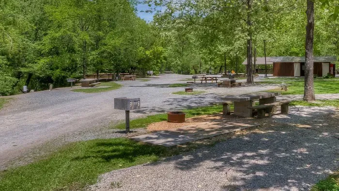 Toccoa Valley Campground Picture 8