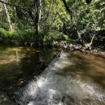 Toccoa Valley Campground Tubing