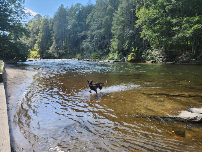 Toccoa River Sandy Bottoms Recreation Area Picture 1