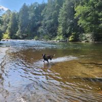 Toccoa River Sandy Bottoms Recreation Area ico