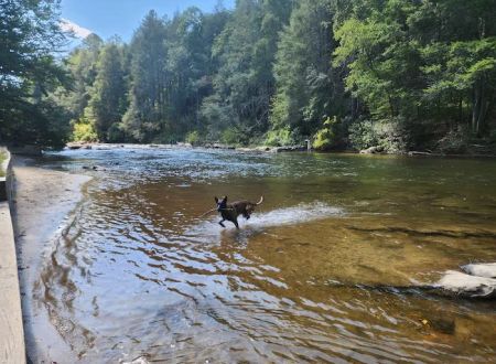 Toccoa River Sandy Bottoms Recreation Area