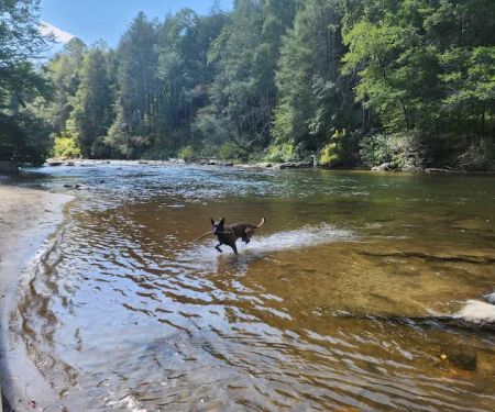 Toccoa River Sandy Bottoms Recreation Area