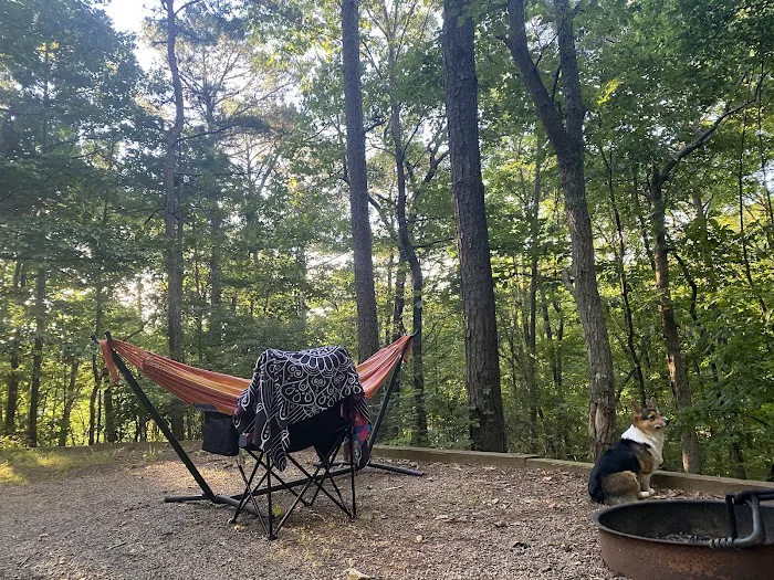 Doll Mountain Campground Picture 3